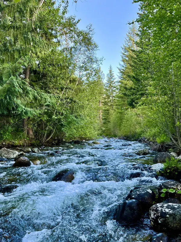 Mill Creek just steps from the front door
