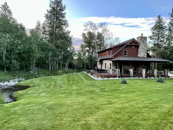 Side and back yard