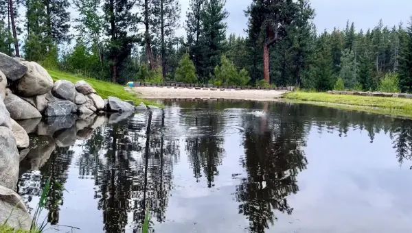 Fish jumping in the pond