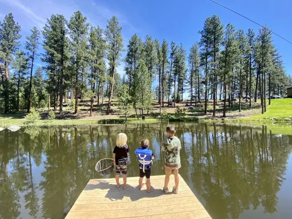Lake view