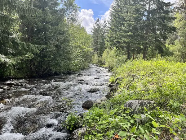 Mill Creek running through the property